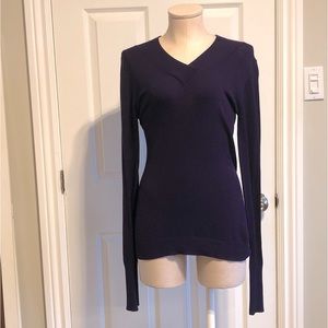 3/$40 Danier purple v-neck sweater